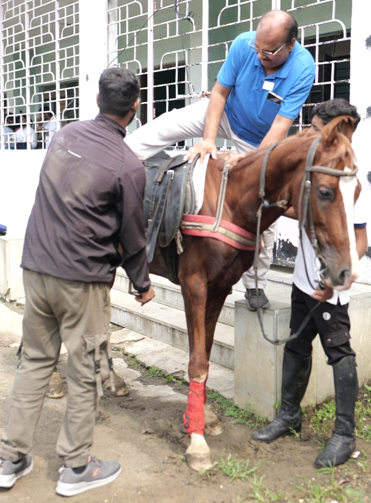 Fun Horse riding Activity