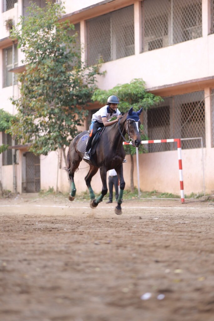 Horse riding classes in nagpur